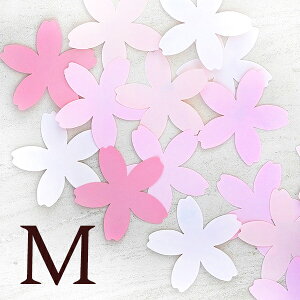 WCAgt[ TNM(10cm) ()̃y[p[t[ VvȉԂт̌`̑Ԃ킢 M RSL