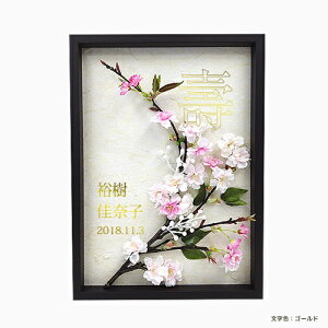 EFfBO EFJ{[h ij z̐FFI[N