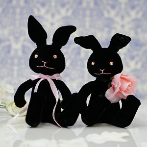 yz EFJh[  EFJrbg ubN "Xg["iڂCXg[j