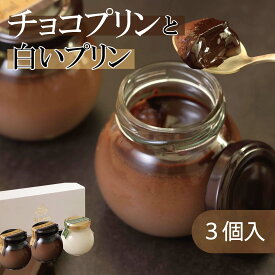 ＜プリン 詰め合わせ＞チョコプリン 2個＋白いプリンサルルン1個 チョコレート カカオニブ お取り寄せ スイーツ プリン おすすめ プレゼント ギフト バレンタイン　クリスマス 御歳暮