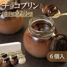 ＜プリン 詰め合わせ＞チョコプリン 3個＋白いプリンサルルン3個 チョコレート カカオニブ お取り寄せ スイーツ プリン おすすめ プレゼント ギフト バレンタイン