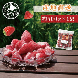 【数量限定】The北海道ファームの～夏のしずく～冷凍いちご約500g×1袋