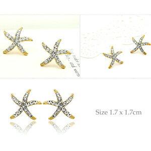 y|Cg10{z 14KGP sAX ꂢ lC AM[ _C t 킢  I p[eB[ I  p[eB[ Lb` Vo[ CO ANZT[ t 