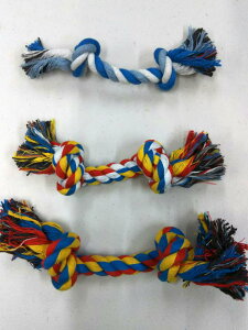 y|Cg5{z yVLO 1  񂿂 MTCY [v  25cm   f^gC Ђς KWKW ʂ v    ^ }i[  