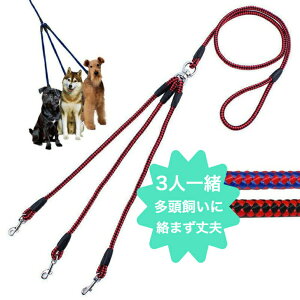 y|Cg10{z [h 3p 񂿂gv[V 3ꏏ  [V   Ђ [v [h R [v p ybgpi ybgObY Upi UObY U