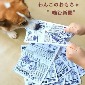 y|Cg5{z 񂱂̂ ʂ ސV v ݕ  uŖ߂ p ^ ^