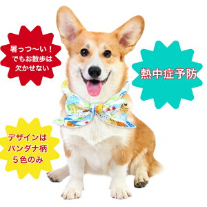y|Cg3{z   ⊴ N[ WF MǑ΍  L̎ K t ybgpi ybgpN[^I 킢