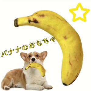 y|Cg5{z 񂿂񂨂  ʂ oii A 킢    킦 ʂ     pߋ ybg  p I