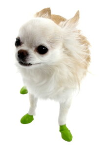 �y�|�C���g5�{�z Paws �|�E�Y ���o�[ �h�b�O �u�[�c �p�E �p�E�Y ���� �ی� �h�� ���C�g�O���[�� Tiny ���^�� 12�� �V�R�S��