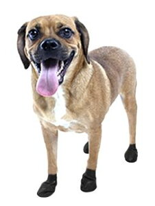 y|Cg5{z Paws |EY o[hbO u[c pE pEY  ی h ubN STCY ^ ^ 12 VRS  C C