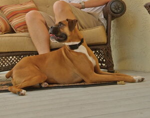 y|Cg5{z ʂڂh~ gpX^CvŎhx6iKybgZ[to[NRg[x[VbN