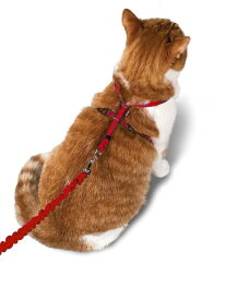 【ポイント5倍】 猫ちゃん用ハーネス＆リードペットセーフイージーウォークネコ用ハーネス&バンジーリード SM2サイズ2カラー
