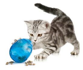 【ポイント3倍】ねこちゃんおもちゃペットセーフFUNKITTYエッグササイザーネコ用知育玩具