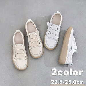 Xj[J[  LbY ̎q j̎q fB[X ؍ X|[c tďH~ x[W w ʋ ʊw [XAbv [Jbg r ubN 傫TCY ̓ AvRbg }WbNe[v 