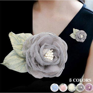 RT[W GKg  wANbv  i T Ǝ  w  }}X[c tH[}RT[W t[ u[` X[c WPbg }}X[c RT[W coL 