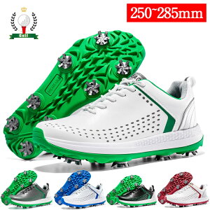 StV[Y Y XpCNt zCg ubN O[ u[  傫TCY 4E L tBbg V[Y St Xj[J[ y ₷ ₷ ʋC h ϋv