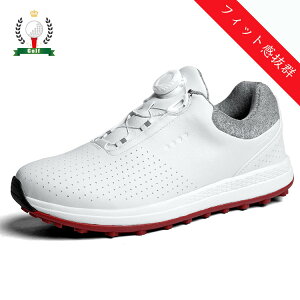 StV[Y Y _C XpCNX Xj[J[ 傫TCY 4E L StV[Y 28.5cm 28cm   XpCNX tBbg y ₷ h ϋv ϊ K 