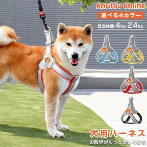  n[lX p [ht  ^ ^  Ȃ EFAn[lX Č y  ȒPE ߉\ \tg S v[g Mtg AE^[ ˑf U ⏕ Oo 