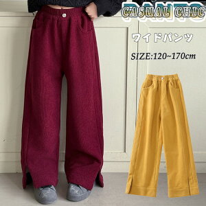 LbY Chpc  N  JWA t H ~ CG[ Cbh R[fCpc R[fC Opc q ʊw ^ ʉ ̎q 傫TCY 120cm 130cm