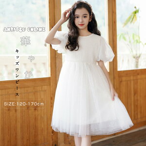 s[X ǐF q LbYs[X  ̎q vZXhX  pt [X bV 2d`[ ؍ q LbY w q 󌱗p sAm\  p[eB