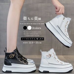 V[gu[c {v  fB[X u[c V[g F F N t H ~ fB[Xu[c V[Y C 6cm q[ {v TChS 芴 r  lC ؍ ₷