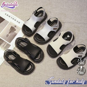 14cm`22cm LbY T_ ̎q j̎q W[ qp ǂ ĕ ₷ Ȃ _炩 ʋC C ċx 킢 ɂȂ y^R r[`T_ Vv  o