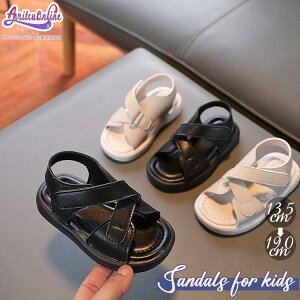 15cm`19cm LbY T_ xr[ ̎q qp ǂ ĕ ₷ Ȃ _炩 ʋC C ċx 킢 ɂȂ y^R r[`T_ o 傫TCY WjA 