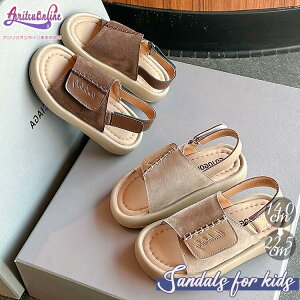 14cm`22cm LbY T_ ̎q j̎q qp ǂ ĕ ₷ Ȃ _炩 ʋC C ċx 킢 ɂȂ y^R r[`T_ Vv  o 傫