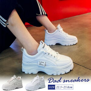  Xj[J[ fB[X V[Y _bh Xj[J[ EH[LOV[Y 5cm  x[W  킢 lC C  芴 Ȃ Xj[J[ dad sneaker zCg 