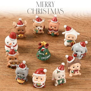 12_Zbg NX}X  NX}Xu NX}XI[ig T^N[Xl` giJC Ⴞ   CeA fR[V j  v[g M