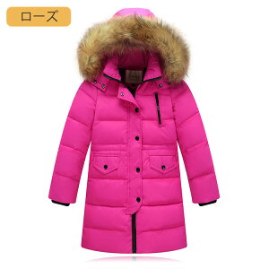 jp _ER[g O LbY ̎q j̎q w w Z _EWPbg R[g ~p h q AE^[ AEghA WjA _E q t[h   h H