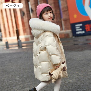 _ER[g _EWPbg q w w Z LbY ̎q O R[g ~p h AE^[ AEghA WjA _E q t[ht   ۉ h H~ 