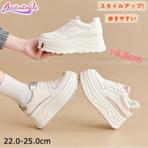 Xj[J[   _bhXj[J[ ̎q ؍ 8.5cmUP Xj[J[ w Z gAbv EH[LOV[Y y r ₷ Ȃ  ꂢ 킢 ʊw 