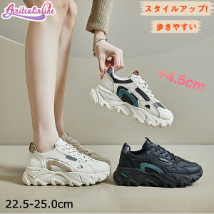 Xj[J[ _bhXj[J[  w Z ̎q ؍ 4.5cmUP Xj[J[ gAbv EH[LOV[Y y r ₷ Ȃ  ꂢ 킢 ʊw 