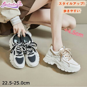  Xj[J[ _bhXj[J[ 4.5cm 4.5Z` ؍ w Z ̎q Xj[J[ gAbv EH[LOV[Y y r ₷ Ȃ  ꂢ 킢 