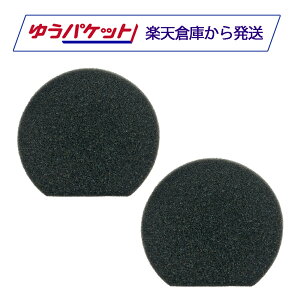 �����p �|���@ �X�|���W�t�B���^�[ �݊��i 2�� PV-BH900J-010