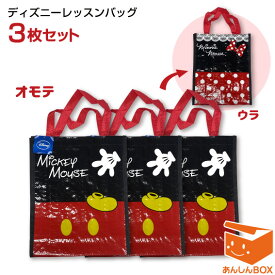 【クーポン有】ディズニー レッスンバッグ3枚セット【習い事 1000円台 コミコミ キャラクター トートバッグ サブバッグ 子ども会 プール 手提げ メール便可】