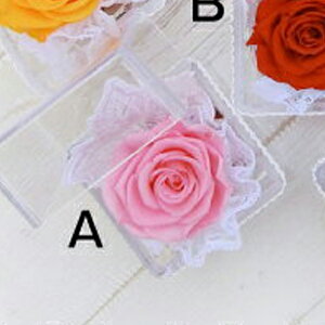 1000~vUL[uCUBEyFor youzS8Fv3ő ԂтɂЂƗ̃XtXL[ NAP[X̂vU[uht[ \ a v` Mtg v[g 