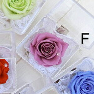 XtvU[uht[ 1000~vUL[uyԕzS8F \ }}FMtgɁI gRxg̏oYjiƂ̓ v` v[g a  o 