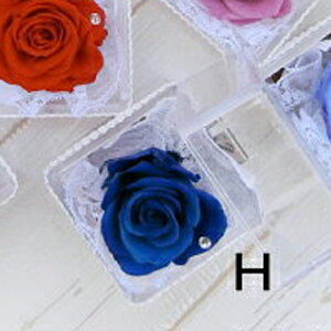 XtvU[uht[ 1000~vUL[uyԕzS8F \ }}FMtgɁI gRxg̏oYjiƂ̓ v` v[g a  o 