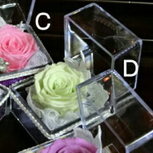 vU[uht[  1000~vUL[uCUBEyzS6F  r Mtg ʐ^ ybgV