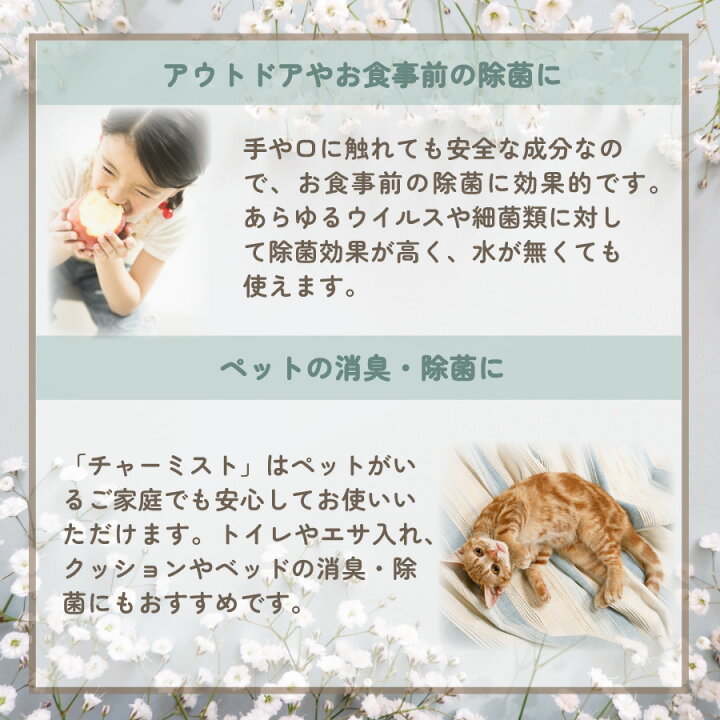 楽天市場】【即納】日本製「チャーミスト携帯用 80ml」ノロウイルス 