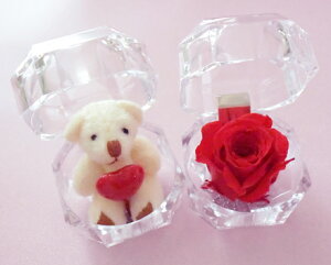 1000~vUuvUL[uCUBEminiv~jN}ʂ݂ƃ~jovU2ZbgBԂ̐F̓bhEsNEu[3F`CXIyhV/keirou/xĂ߂/vU[uht