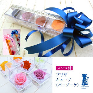 bsOXt1500~vUL[úuo[u[P4×2{Zbgi8FZbgjv\A}}FMtgɁI gRxg̏oYjƂ̓y1000~ ̓/