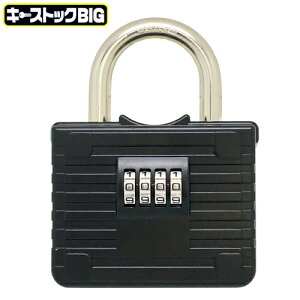 mebN NS-1264 L[XgbNBIG ubN