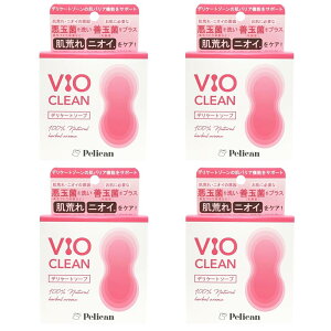 y4ZbgzyJΌ VIO CLEAM fP[g\[v 80g