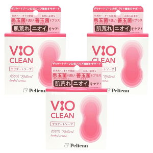 y3ZbgzyJΌ VIO CLEAM fP[g\[v 80g