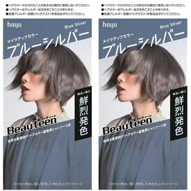 ビューティーン メイクアップカラー ブルーシルバー 2個セット
