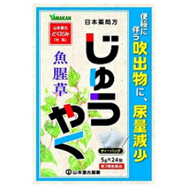 【第3類医薬品】【山本漢方製薬】日本薬局方 じゅうやく 5g×24包 ※お取り寄せになる場合もございます