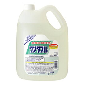 【送料無料まとめ買い10個セット】【花王】ワンダフル 4．5L ※お取り寄せ商品